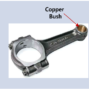 CopperBush1